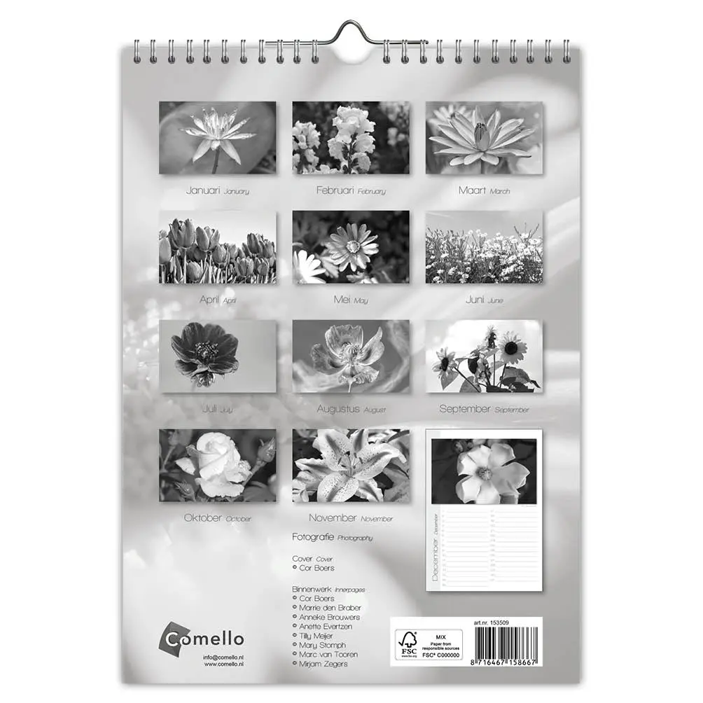 Miniatuur 2