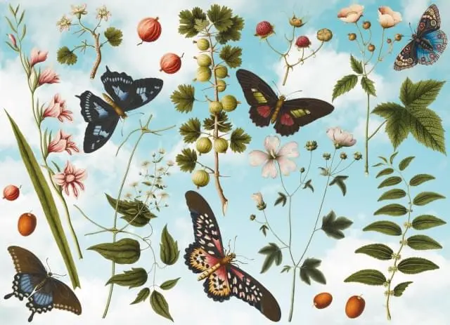 Miniatuur 2