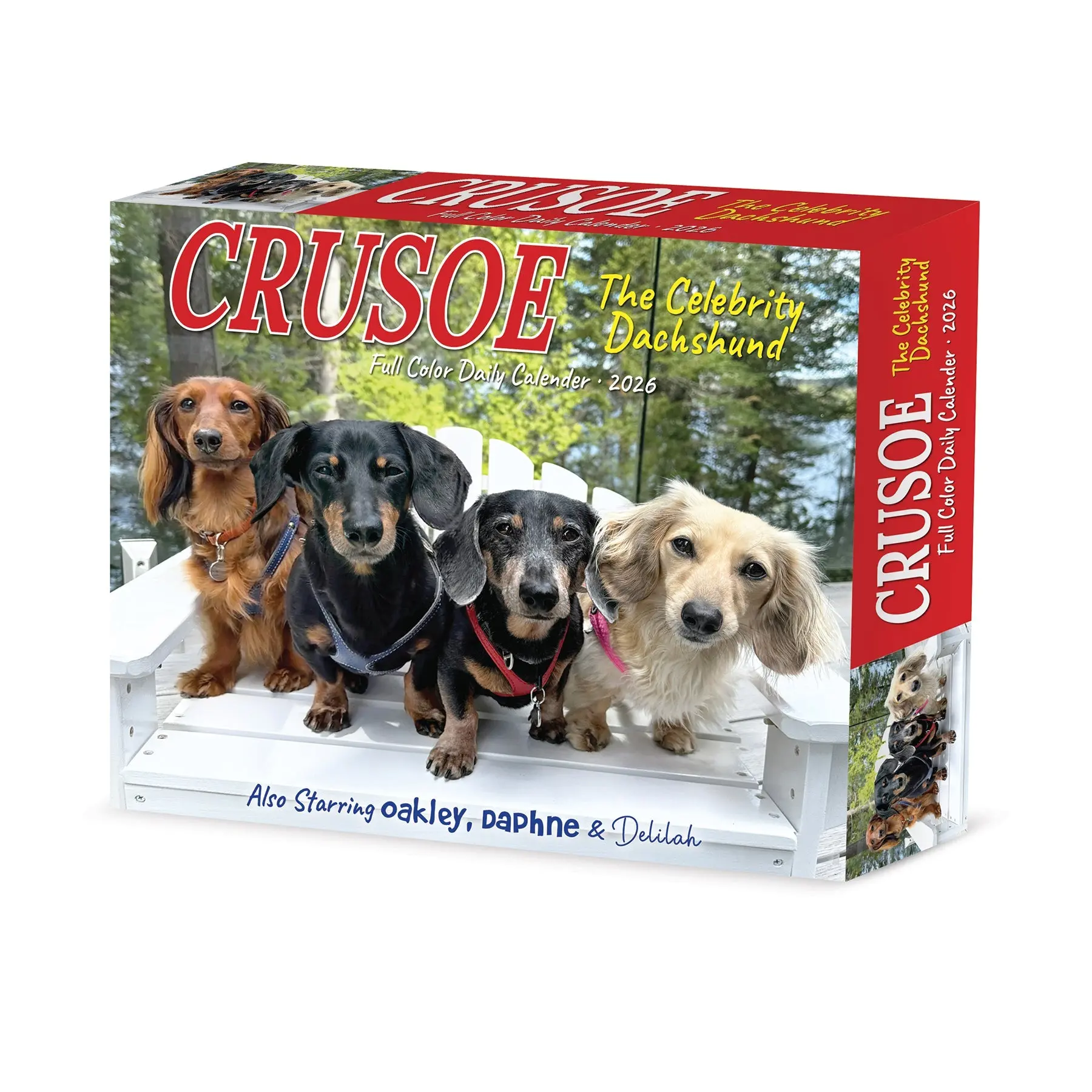 Miniatuur 2