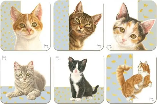 Miniatuur 2