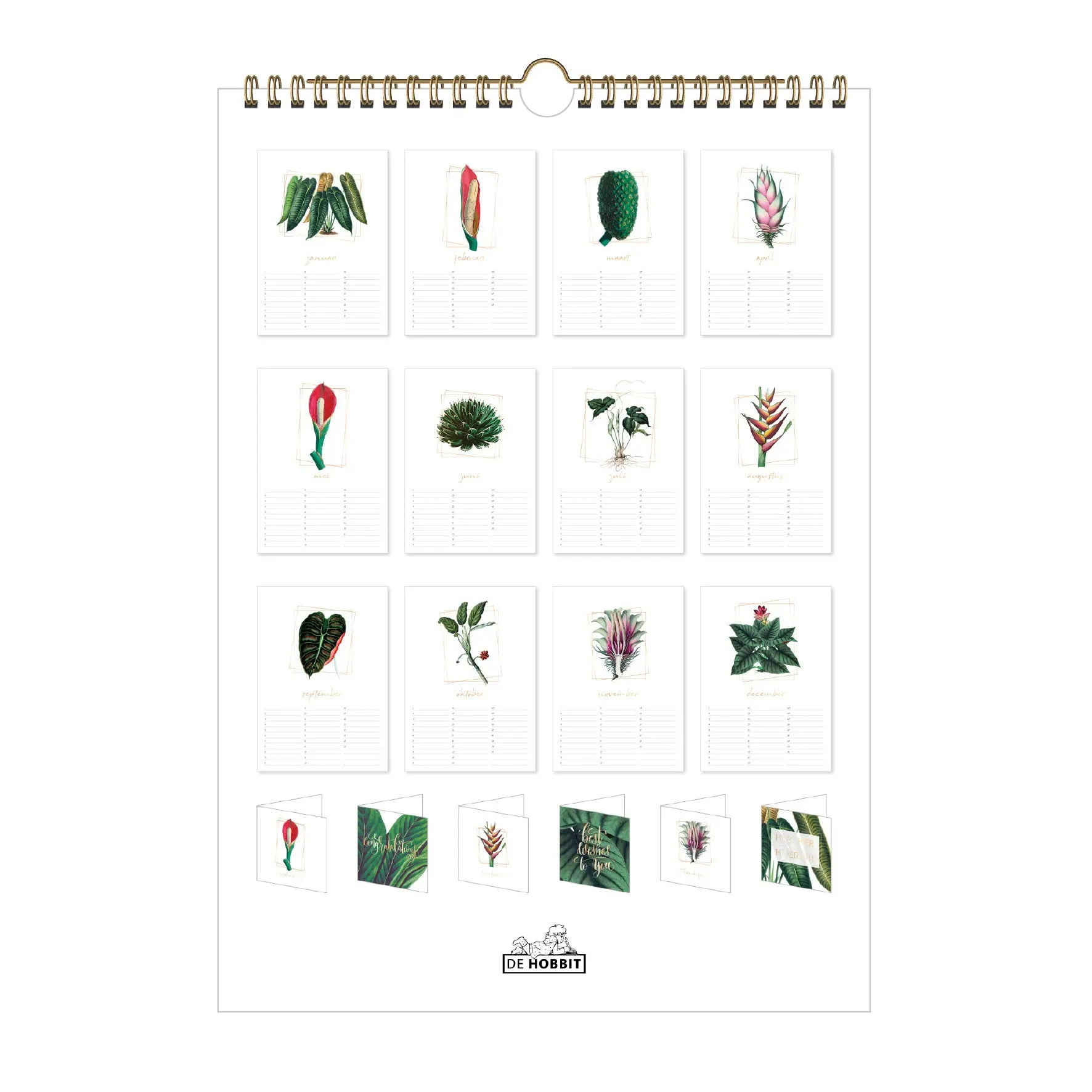 Miniatuur 2