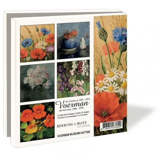 Miniatuur 2