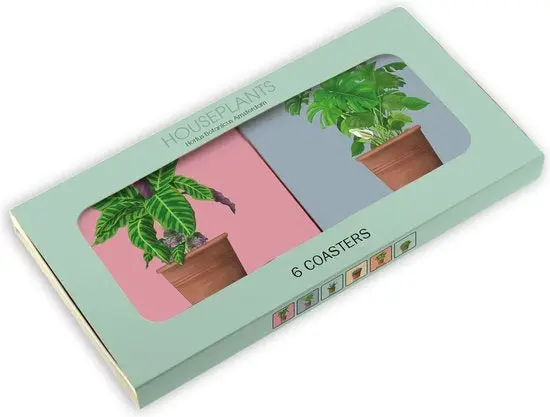 Miniatuur 1