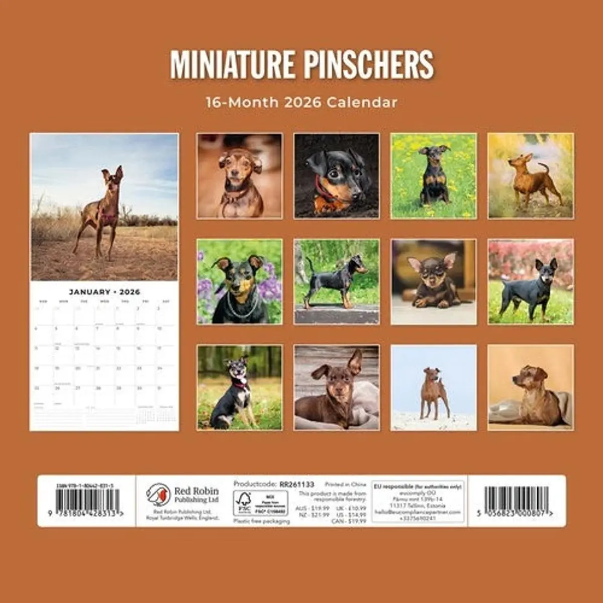 Miniatuur 2