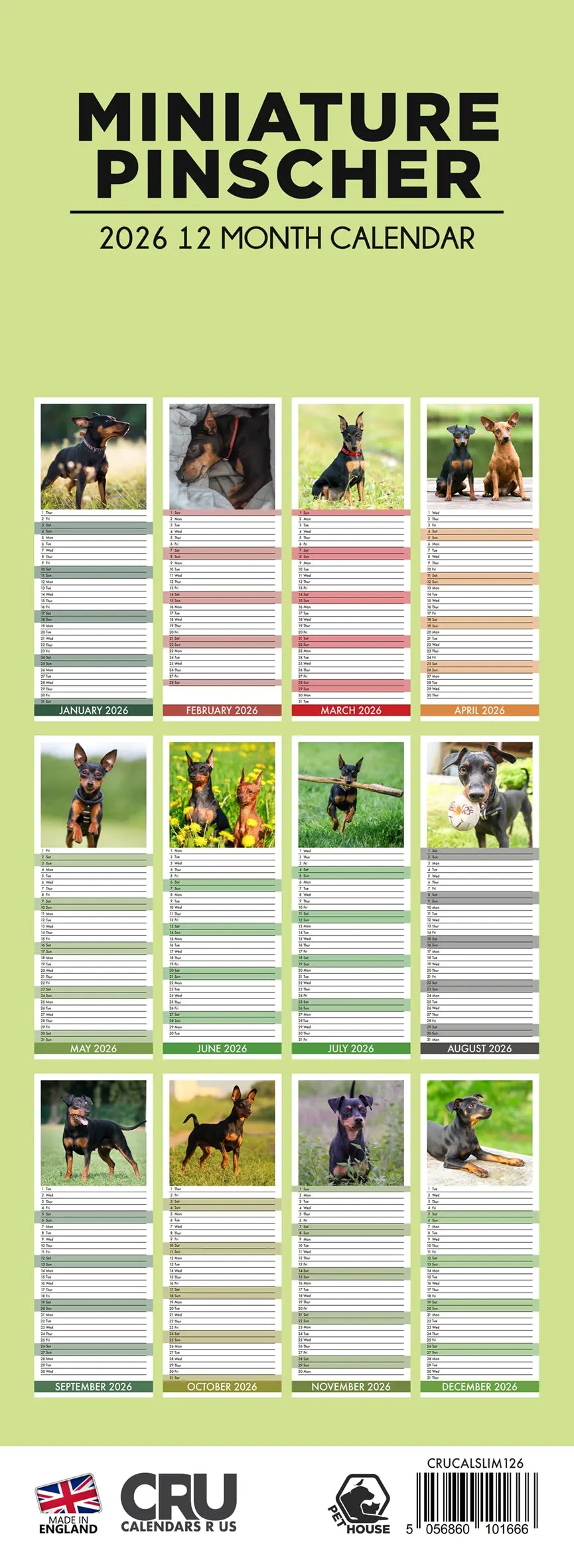 Miniatuur 2