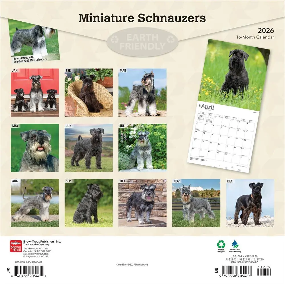 Miniatuur 2