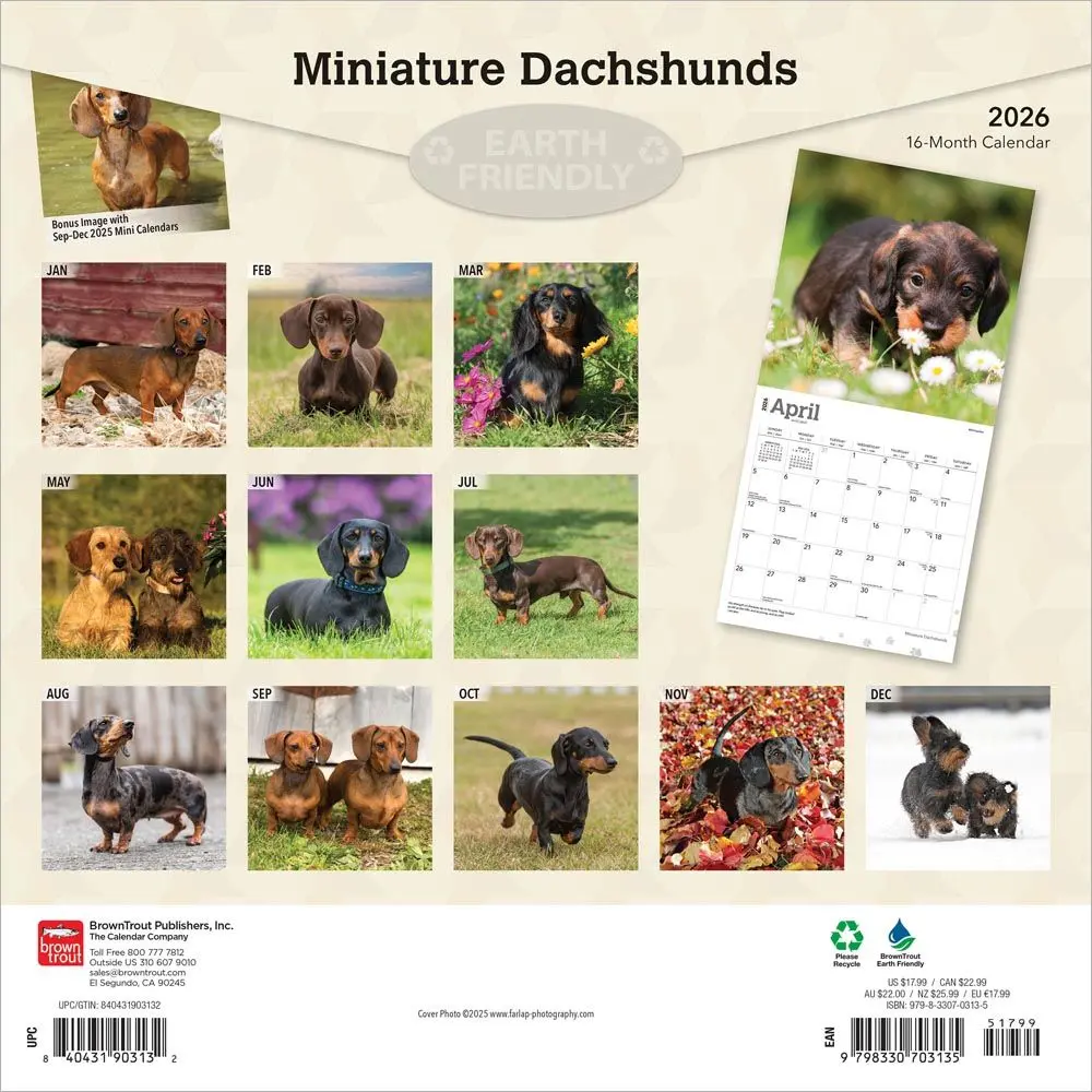 Miniatuur 2
