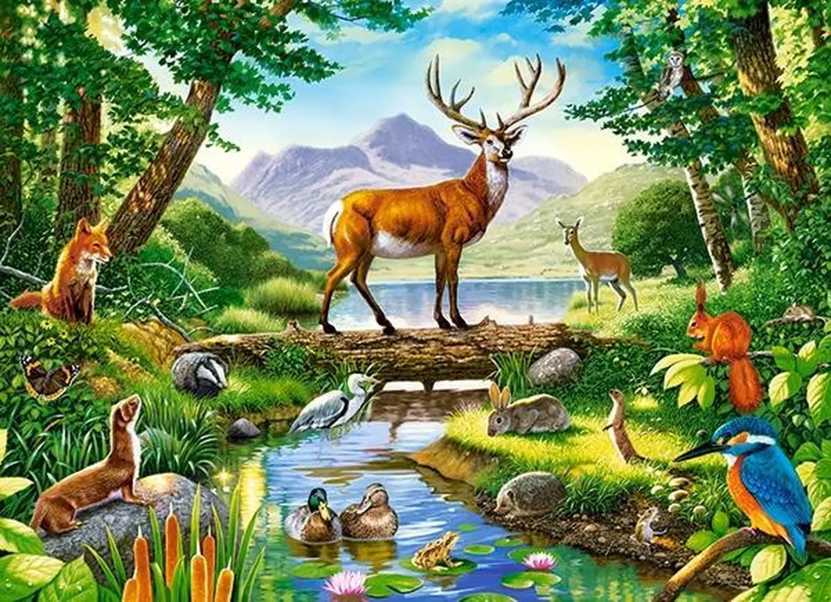 Miniatuur 2